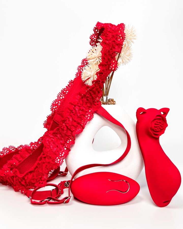 Charming Fox Remote Control Panty Vibrator