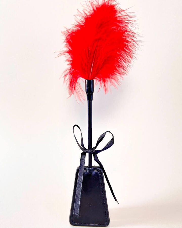Feather Tickler & Riding Crop