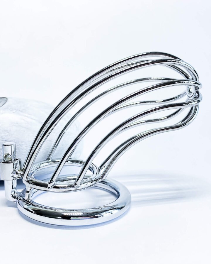 Jail Bird Metal Chastity Cage