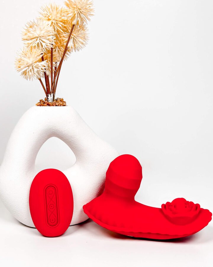 RoseWiggle Insertable Panty Vibrator with Remote