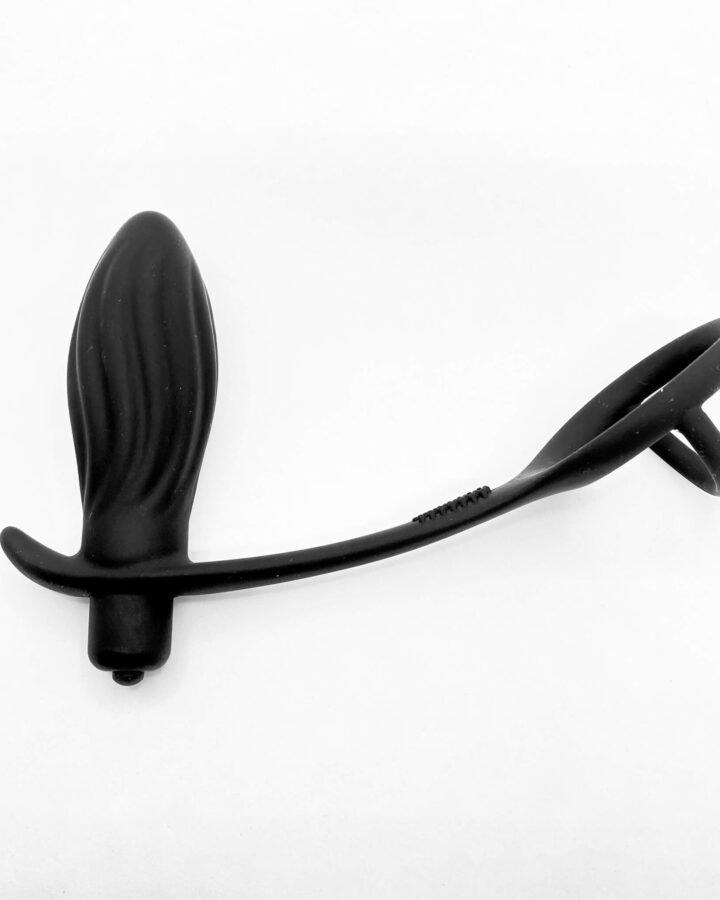 Buzz Master Vibrating Prostate Massager with Cock Ring