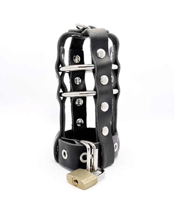Lockable Leather Cock Harness Black
