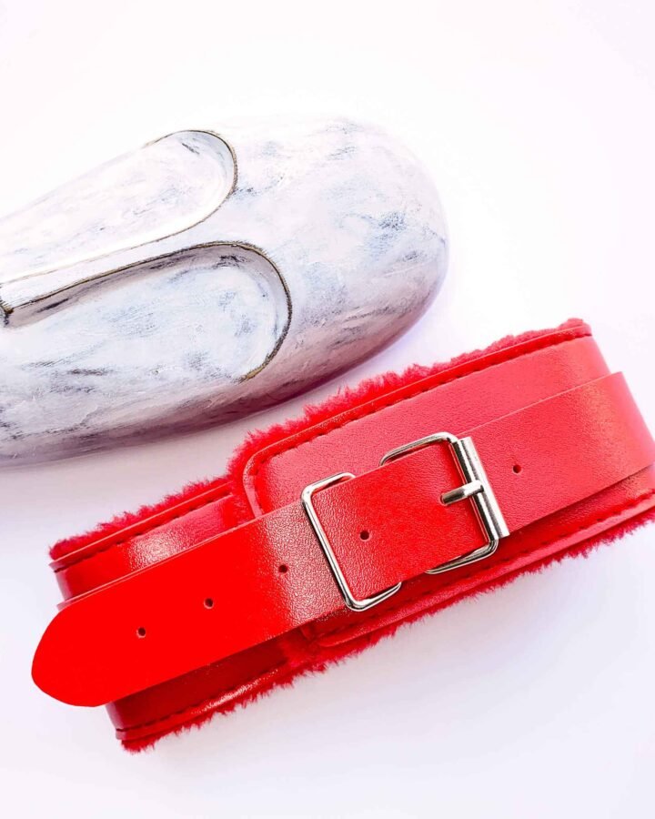 Leather Adjustable Collar and Snap Hook Leash