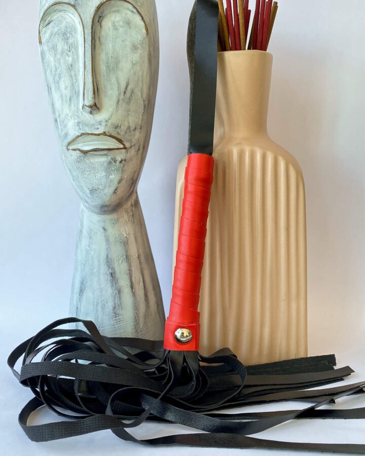 Black and Red Flogger Whip